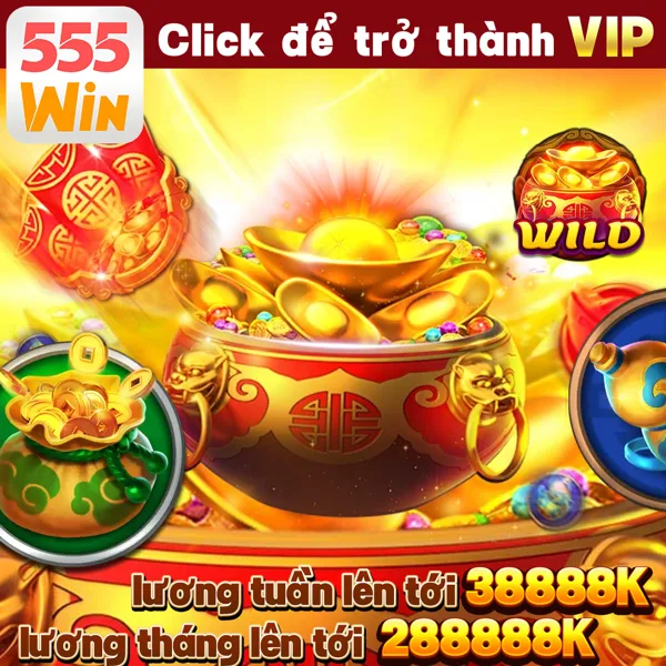 555win